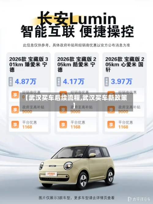 【武汉买车后续流程,武汉买车新政策】