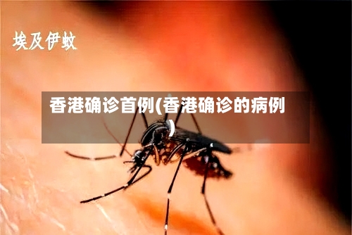 香港确诊首例(香港确诊的病例)-第2张图片