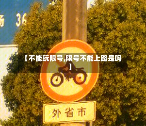【不能玩限号,限号不能上路是吗】