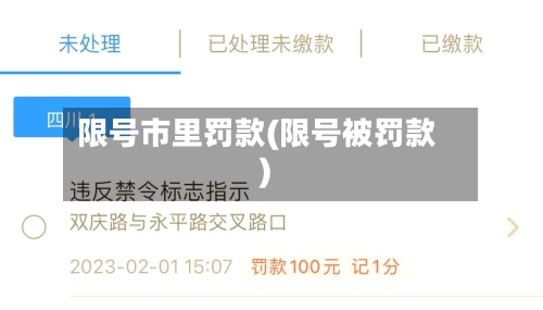 限号市里罚款(限号被罚款)