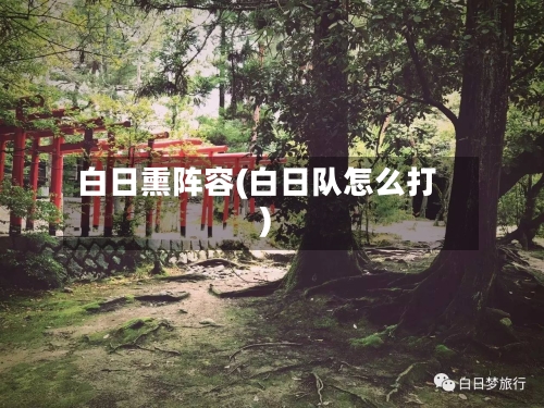 白日熏阵容(白日队怎么打)-第2张图片