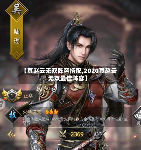 【真赵云无双阵容搭配,2020真赵云无双最佳阵容】