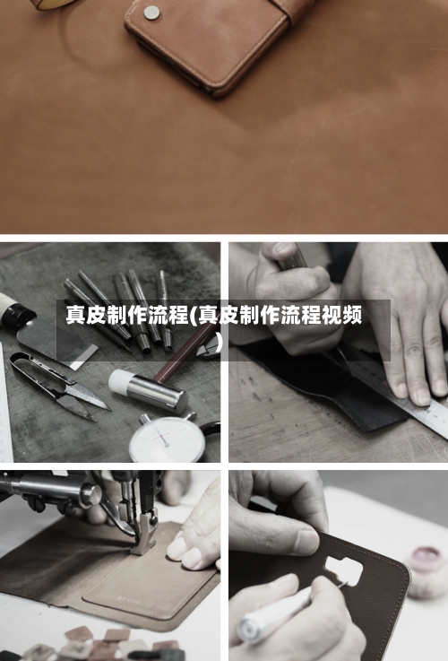 真皮制作流程(真皮制作流程视频)-第2张图片