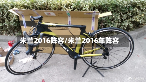 米兰2016阵容/米兰2016年阵容-第3张图片