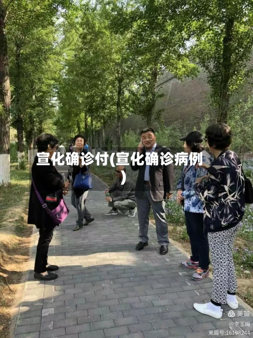 宣化确诊付(宣化确诊病例)