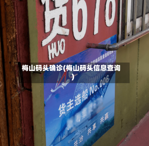 梅山码头确诊(梅山码头信息查询)