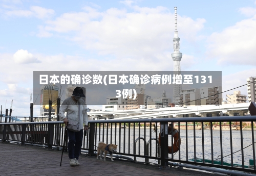 日本的确诊数(日本确诊病例增至1313例)-第3张图片