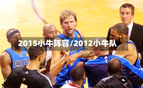 2015小牛阵容/2012小牛队-第2张图片