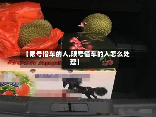【限号借车的人,限号借车的人怎么处理】