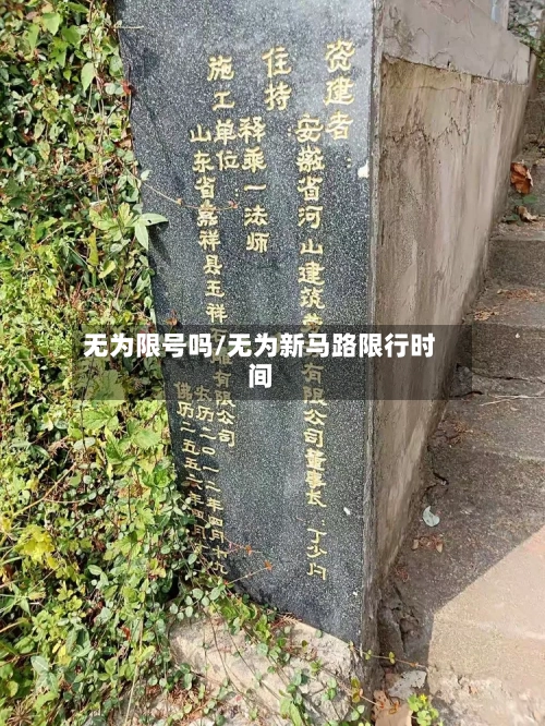 无为限号吗/无为新马路限行时间-第2张图片