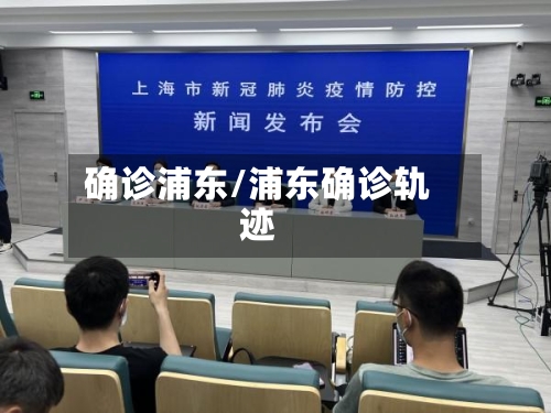 确诊浦东/浦东确诊轨迹
