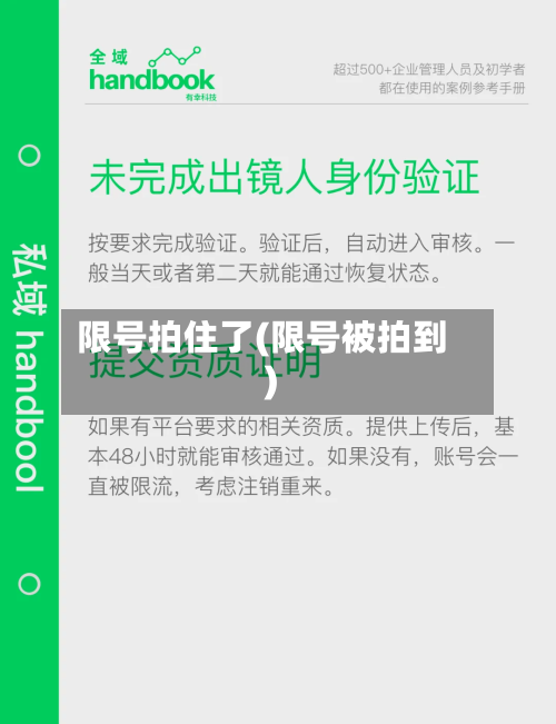 限号拍住了(限号被拍到)
