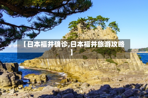 【日本福井确诊,日本福井旅游攻略】-第3张图片