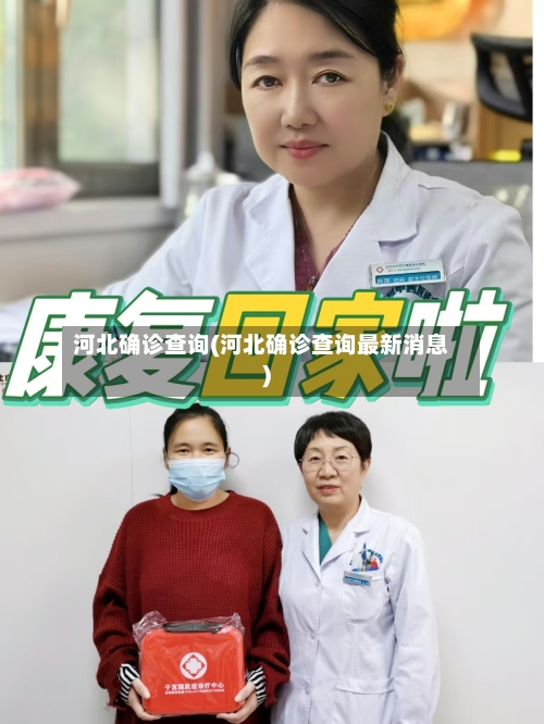 河北确诊查询(河北确诊查询最新消息)-第2张图片