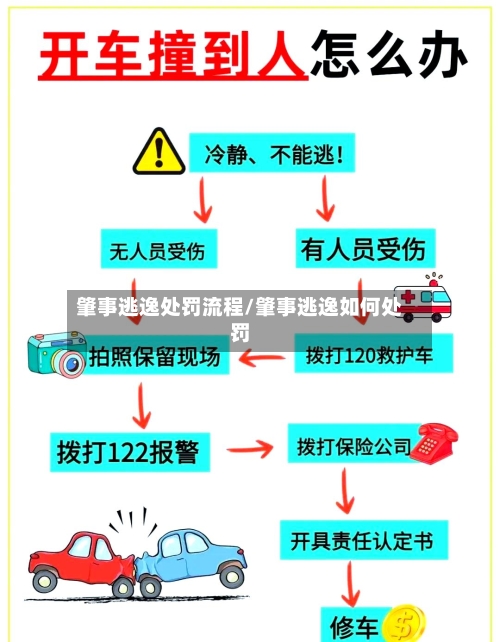 肇事逃逸处罚流程/肇事逃逸如何处罚
