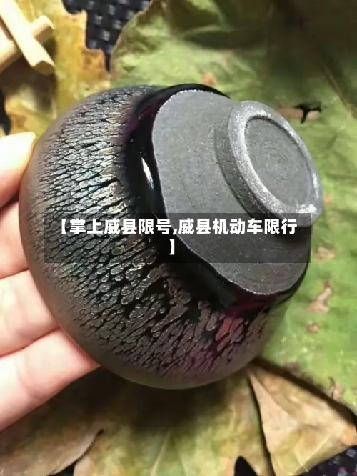 【掌上威县限号,威县机动车限行】-第3张图片