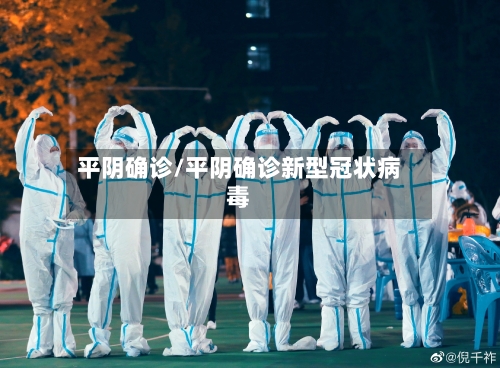平阴确诊/平阴确诊新型冠状病毒-第2张图片
