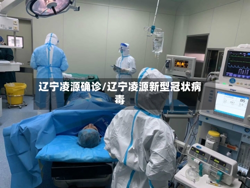 辽宁凌源确诊/辽宁凌源新型冠状病毒-第3张图片