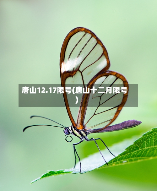 唐山12.17限号(唐山十二月限号)-第2张图片