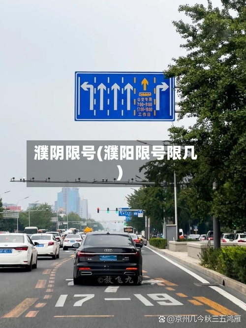 濮阴限号(濮阳限号限几)-第2张图片