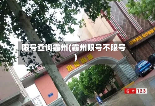 限号查询霸州(霸州限号不限号)-第3张图片