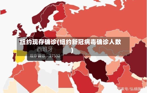纽约现存确诊(纽约新冠病毒确诊人数)-第2张图片