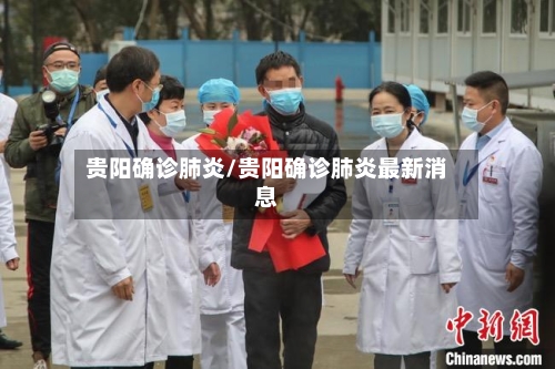 贵阳确诊肺炎/贵阳确诊肺炎最新消息-第2张图片