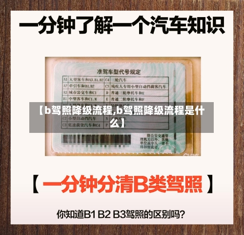 【b驾照降级流程,b驾照降级流程是什么】-第2张图片