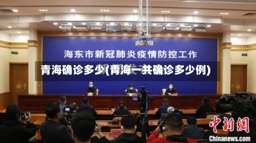 青海确诊多少(青海一共确诊多少例)-第2张图片