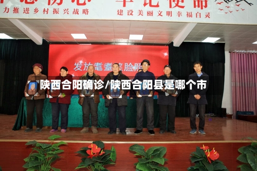 陕西合阳确诊/陕西合阳县是哪个市-第2张图片