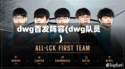 dwg首发阵容(dwg队员)-第2张图片