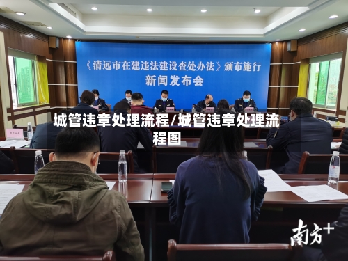 城管违章处理流程/城管违章处理流程图-第3张图片