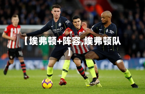 【埃弗顿+阵容,埃弗顿队】-第3张图片