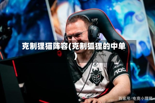 克制狸猫阵容(克制狐狸的中单)