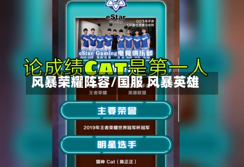 风暴荣耀阵容/国服 风暴英雄-第2张图片