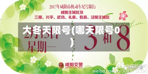 大冬天限号(哪天限号0)-第3张图片