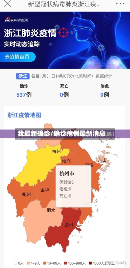 我最新确诊/确诊病例最新消息