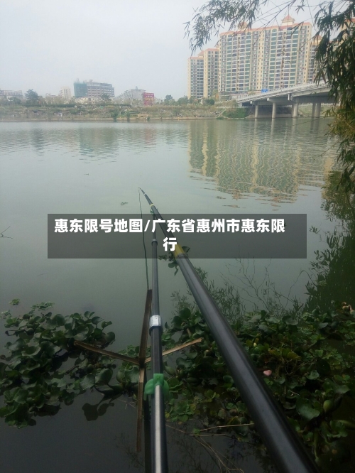 惠东限号地图/广东省惠州市惠东限行