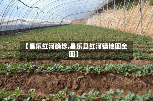 【昌乐红河确诊,昌乐县红河镇地图全图】-第3张图片