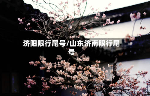 济阳限行尾号/山东济南限行尾号
