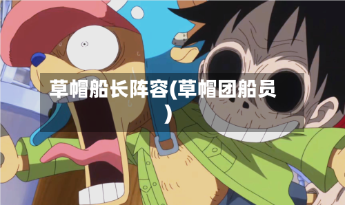草帽船长阵容(草帽团船员)
