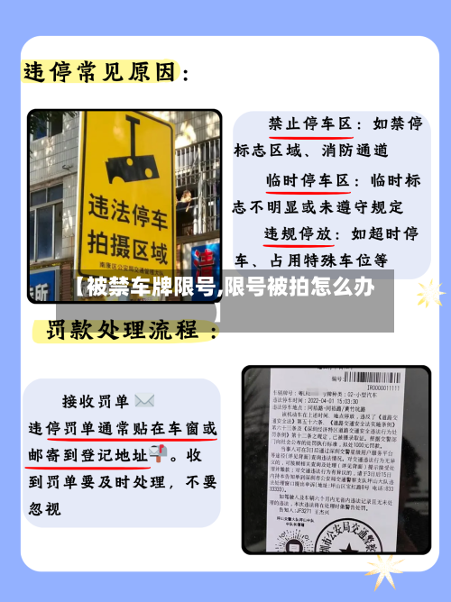 【被禁车牌限号,限号被拍怎么办】