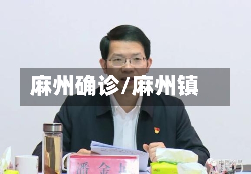 麻州确诊/麻州镇