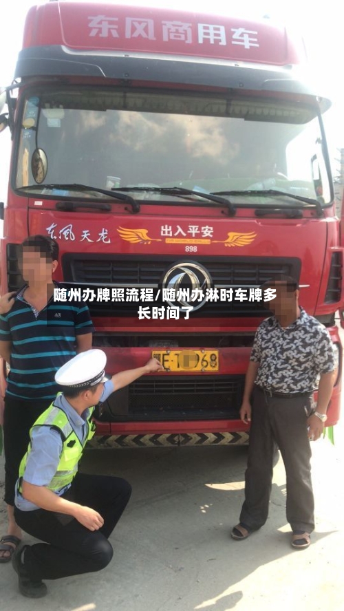 随州办牌照流程/随州办淋时车牌多长时间了