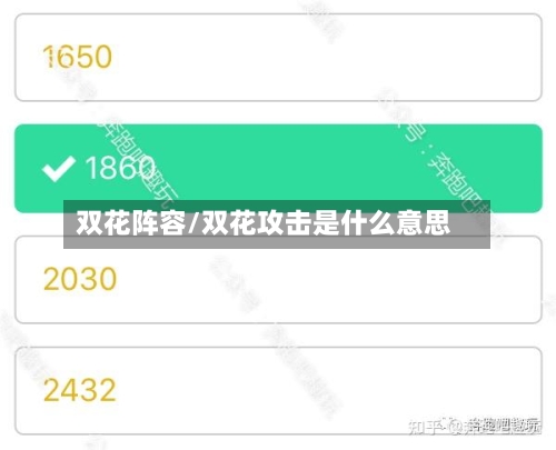 双花阵容/双花攻击是什么意思