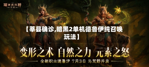 【莘县确诊,暗黑2单机德鲁伊纯召唤玩法】