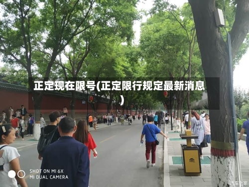 正定现在限号(正定限行规定最新消息)