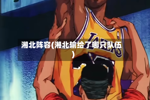 湘北阵容(湘北输给了哪只队伍)