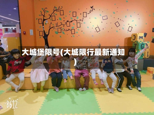 大城堡限号(大城限行最新通知)-第3张图片