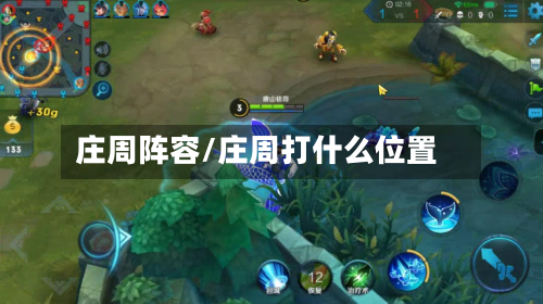 庄周阵容/庄周打什么位置
